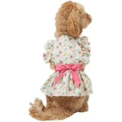 Frisco Dainty Pink Floral Dog & Cat Dress 11 Frisco Dainty Pink Floral Dog & Cat Dress -Blue Buffalo Shop 312136 PT2. AC SS1800 V1703872208