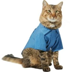 Frisco Chambray Pineapple Dog & Cat Shirt 13 Frisco Chambray Pineapple Dog & Cat Shirt -Blue Buffalo Shop 312192 PT2. AC SS1800 V1644528879