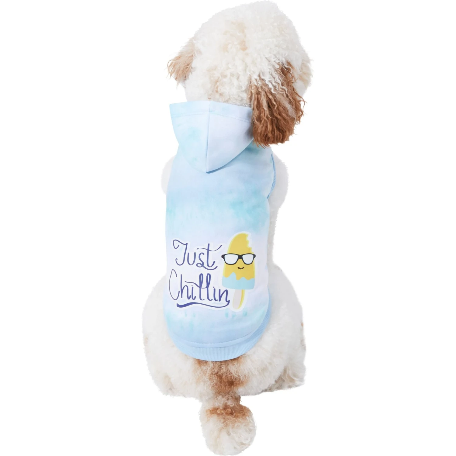 Frisco Just Chillin Dog & Cat Hoodie 3 Frisco Just Chillin Dog & Cat Hoodie