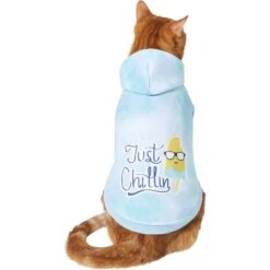 Frisco Just Chillin Dog & Cat Hoodie 11 Frisco Just Chillin Dog & Cat Hoodie -Blue Buffalo Shop 312233 PT2. AC SS1800 V1644879530
