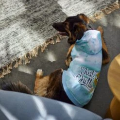 Frisco Just Chillin Dog & Cat Hoodie 15 Frisco Just Chillin Dog & Cat Hoodie -Blue Buffalo Shop 312233 PT8. AC SS1800 V1644881922