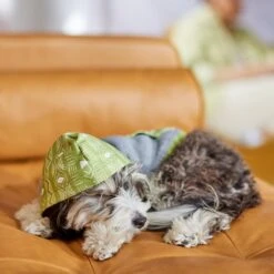 Frisco Green Southwest Dog & Cat Hoodie -Blue Buffalo Shop 312248 PT8. AC SS1800 V1644883113