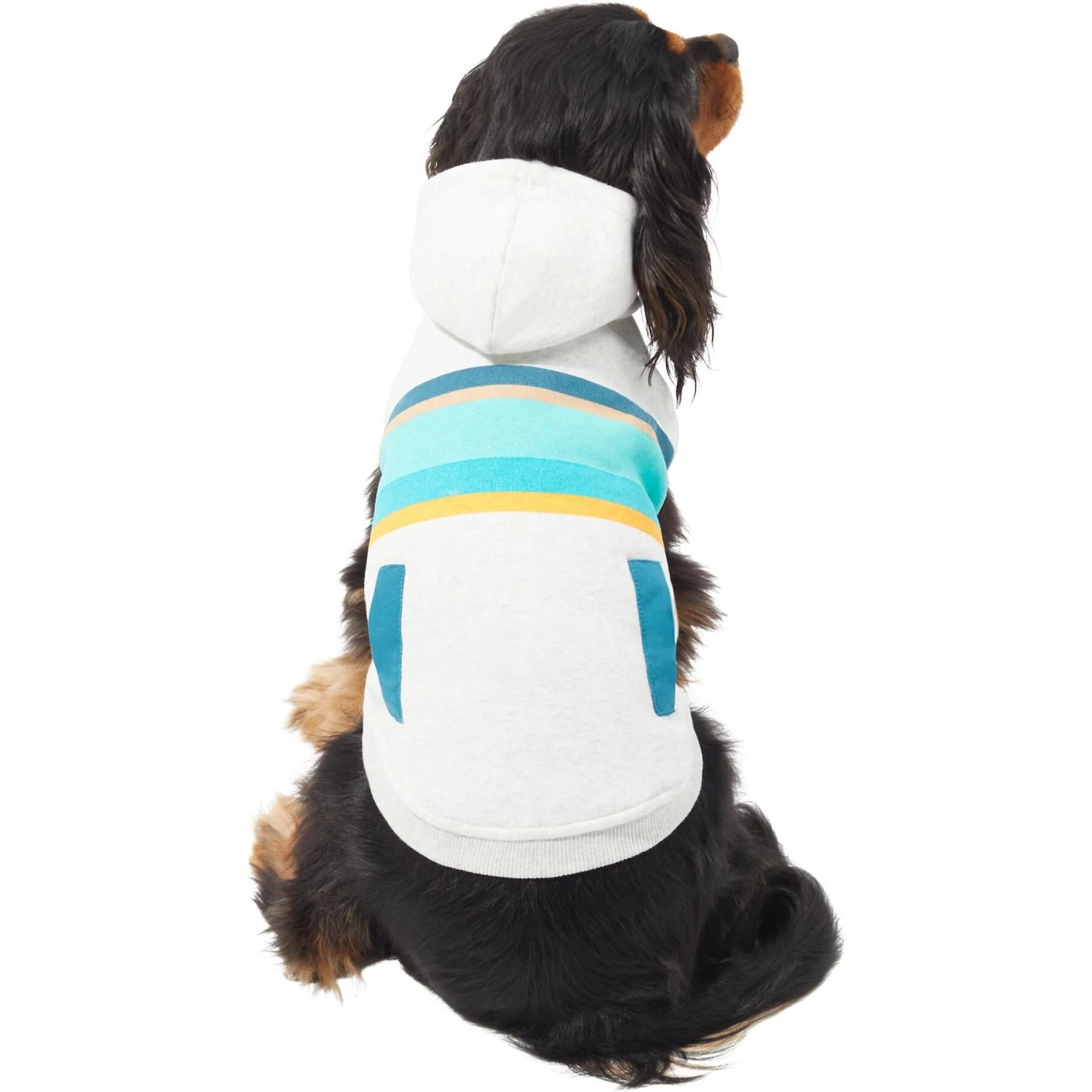 Frisco Striped Dog & Cat Hoodie 3 Frisco Striped Dog & Cat Hoodie