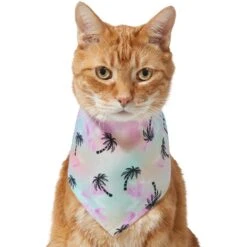 Frisco Palm Tree Dog & Cat Bandana 11 Frisco Palm Tree Dog & Cat Bandana -Blue Buffalo Shop 312291 PT2. AC SS1800 V1644885754