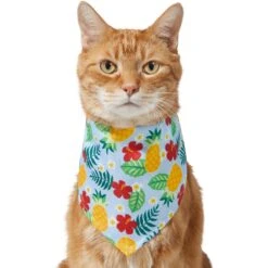 Frisco Hawaiian Pineapple Dog & Cat Bandana -Blue Buffalo Shop 312300 PT2. AC SS1800 V1644878643