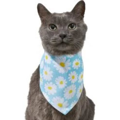Frisco Daisy Dog & Cat Bandana 12 Frisco Daisy Dog & Cat Bandana -Blue Buffalo Shop 312303 PT2. AC SS1800 V1644883588