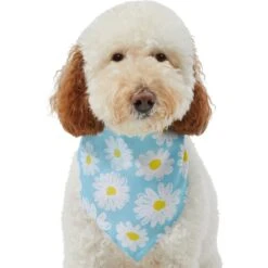 Frisco Daisy Dog & Cat Bandana 13 Frisco Daisy Dog & Cat Bandana -Blue Buffalo Shop 312303 PT3. AC SS1800 V1673302704