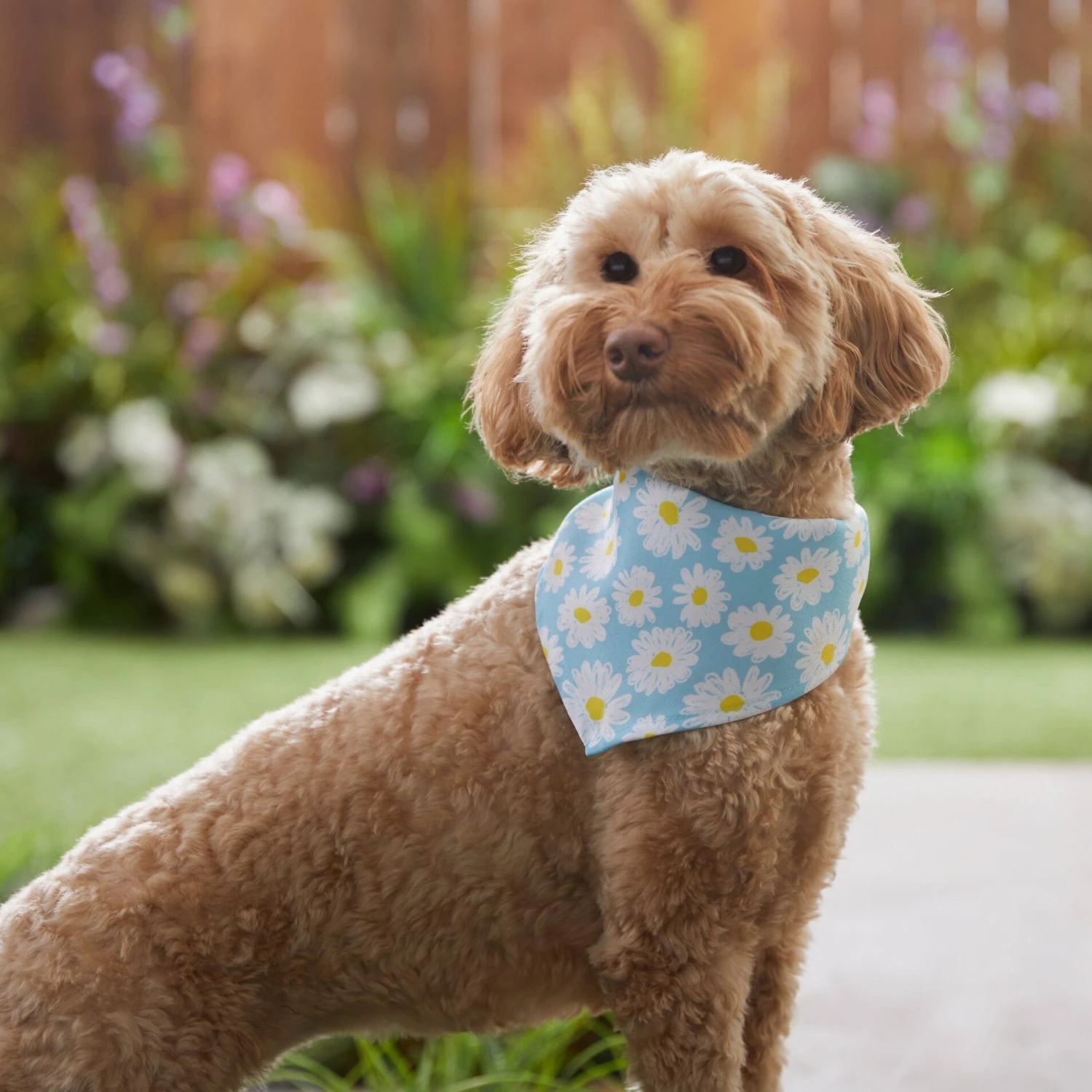 Frisco Daisy Dog & Cat Bandana 8 Frisco Daisy Dog & Cat Bandana - Image 6