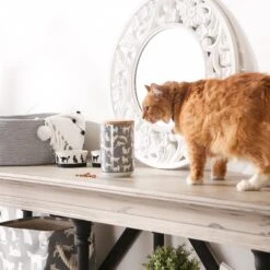 Bone Dry Ceramic Meow Cat Treat Canister -Blue Buffalo Shop 313400 PT4. AC SS1800 V1631765581