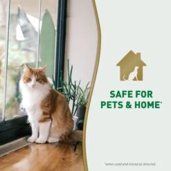 Nature's Miracle Cat Urine Destroyer Plus Enzymatic Stain Remover Foam Aerosol Spray, 17.5-oz Bottle 18 Nature's Miracle Cat Urine Destroyer Plus Enzymatic Stain Remover Foam Aerosol Spray, 17.5-oz Bottle -Blue Buffalo Shop 313854 PT7. AC SS1800 V1701116506