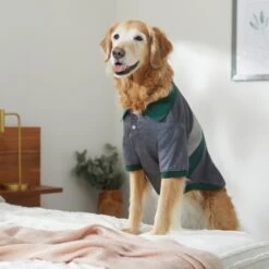 Frisco Green Striped Polo Dog & Cat Shirt -Blue Buffalo Shop 315091 PT8. AC SS1800 V1646434389