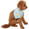 Frisco Birthday Pup Dog & Cat Bandana -Blue Buffalo Shop 315130 MAIN. AC SS1800 V1646437330