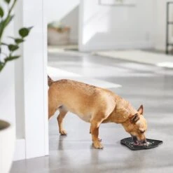 STAR WARS DARTH VADER Silicone Dog & Cat Lick Mat -Blue Buffalo Shop 315335 PT2. AC SS1800 V1647281635