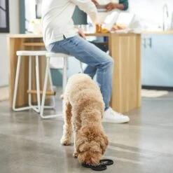 Disney Mickey Mouse Silicone Dog & Cat Lick Mat -Blue Buffalo Shop 315337 PT2. AC SS1800 V1647282821