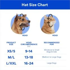 Disney Mickey Mouse Birthday Dog & Cat Hat -Blue Buffalo Shop 316077 PT1. AC SS1800 V1697413418