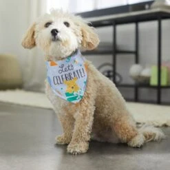 Disney Winnie The Pooh Birthday Dog & Cat Bandana 15 Disney Winnie The Pooh Birthday Dog & Cat Bandana -Blue Buffalo Shop 316080 PT8. AC SS1800 V1646180621