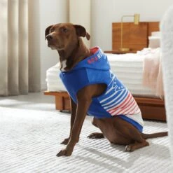 STAR WARS MAY THE 4TH Dog & Cat Hoodie 15 STAR WARS MAY THE 4TH Dog & Cat Hoodie -Blue Buffalo Shop 316112 PT8. AC SS1800 V1646176600