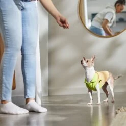 STAR WARS THE MANDALORIAN GROGU Lightweight Dog & Cat Fleece Vest -Blue Buffalo Shop 316119 PT8. AC SS1800 V1646179025