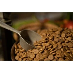 Regal Pet Foods Lean Recipe Dry Dog Food -Blue Buffalo Shop 316453 PT3. AC SS1800 V1630335588