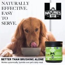 Nature's Diet Toothbrush Systemic Plaque Remover Dry Dog Food Topping, 14.8-oz Jar -Blue Buffalo Shop 318153 PT3. AC SS1800 V1628804515