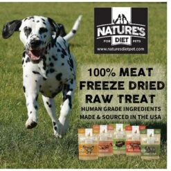 Nature's Diet Salmon Raw Freeze-Dried Dog Treats, 2-oz Pouch 14 Nature's Diet Salmon Raw Freeze-Dried Dog Treats, 2-oz Pouch -Blue Buffalo Shop 318163 PT4. AC SS1800 V1628804791