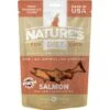 Nature's Diet Salmon Raw Freeze-Dried Cat Treats, 1-oz Pouch -Blue Buffalo Shop 318173 MAIN. AC SS1800 V1628805733