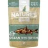 Nature's Diet Whitefish Raw Freeze-Dried Cat Treats, 1-oz Pouch -Blue Buffalo Shop 318175 MAIN. AC SS1800 V1628806928
