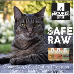 Nature's Diet Chicken Breast Raw Freeze-Dried Cat Treats, 1.5-oz Pouch -Blue Buffalo Shop 318177 PT7. AC SS1800 V1628803060