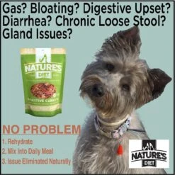 Nature's Diet Digestive Relief & Anit-Diarhea Carrots Raw Freeze-Dried Dog Treats, 6-oz Pouch -Blue Buffalo Shop 318179 PT2. AC SS1800 V1628805790
