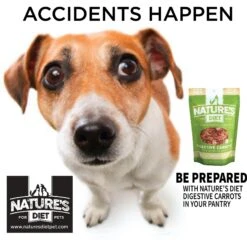 Nature's Diet Digestive Relief & Anit-Diarhea Carrots Raw Freeze-Dried Dog Treats, 6-oz Pouch -Blue Buffalo Shop 318179 PT3. AC SS1800 V1628802099