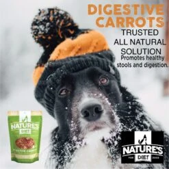 Nature's Diet Digestive Relief & Anit-Diarhea Carrots Raw Freeze-Dried Dog Treats, 6-oz Pouch -Blue Buffalo Shop 318179 PT4. AC SS1800 V1628804820