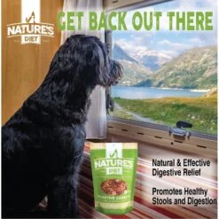 Nature's Diet Digestive Relief & Anit-Diarhea Carrots Raw Freeze-Dried Dog Treats, 6-oz Pouch -Blue Buffalo Shop 318179 PT5. AC SS1800 V1628805797
