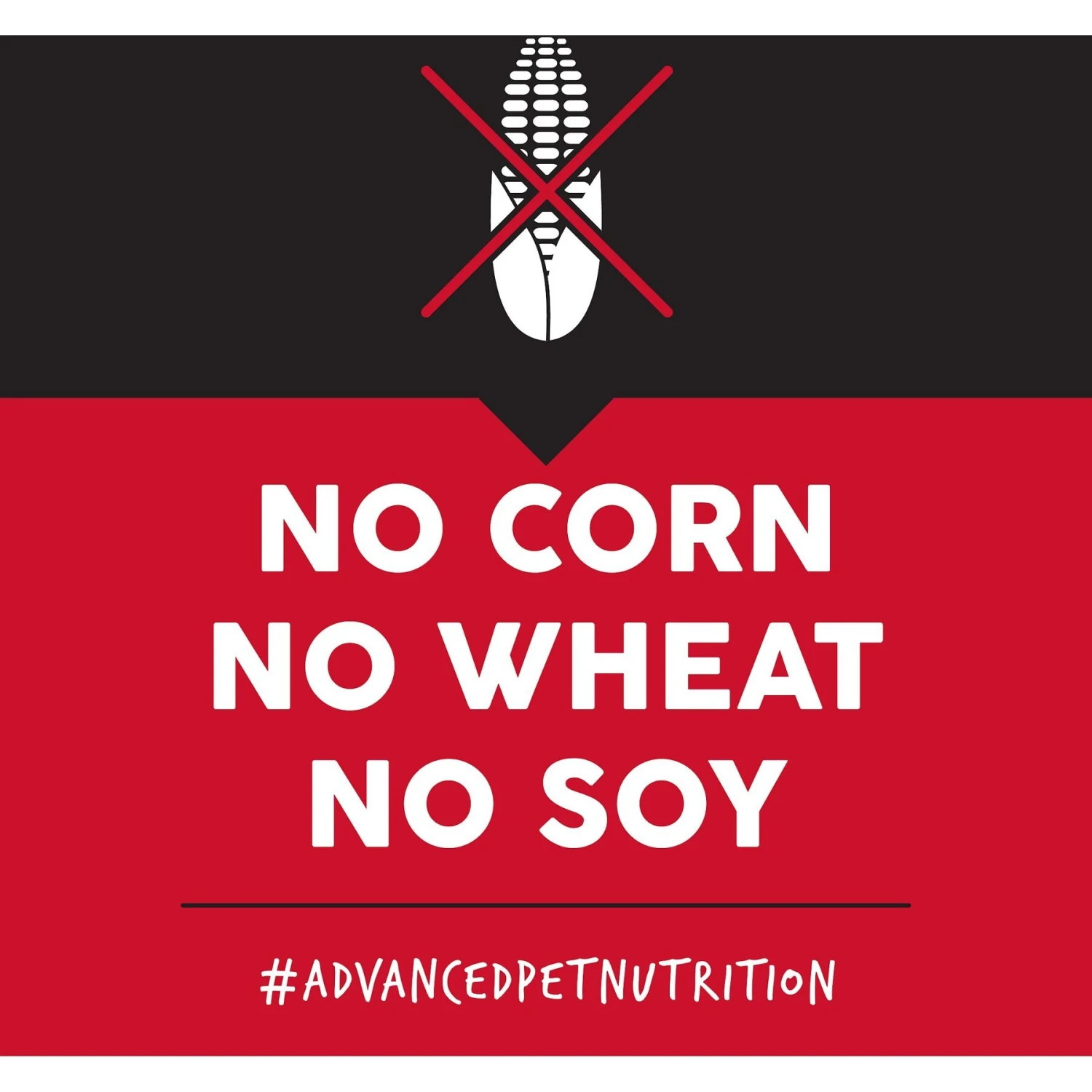 Ultimates Adult Chicken Meal & Rice Flavored Dry Dog Food 7 Ultimates Adult Chicken Meal & Rice Flavored Dry Dog Food - Image 5