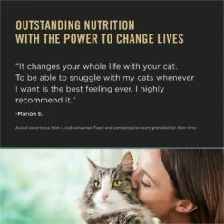 Purina Pro Plan LiveClear Kitten Chicken & Rice Formula Dry Cat Food -Blue Buffalo Shop 328613 PT4. AC SS1800 V1631055690