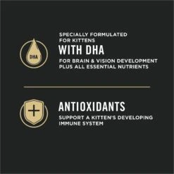 Purina Pro Plan LiveClear Kitten Chicken & Rice Formula Dry Cat Food -Blue Buffalo Shop 328613 PT7. AC SS1800 V1631054771