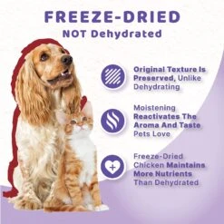 Halo Liv-A-Littles Beef Liver Protein Freeze-Dried Dog & Cat Treats, 3-oz Bag -Blue Buffalo Shop 329479 PT4. AC SS1800 V1631602879