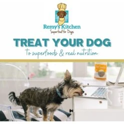 Remy's Kitchen Lamb Liver, Spleen, Heart Meat Medley Freeze-Dried Dog & Cat Treats, 3-oz Bag 7 Remy's Kitchen Lamb Liver, Spleen, Heart Meat Medley Freeze-Dried Dog & Cat Treats, 3-oz Bag -Blue Buffalo Shop 329483 PT2. AC SS1800 V1631625102