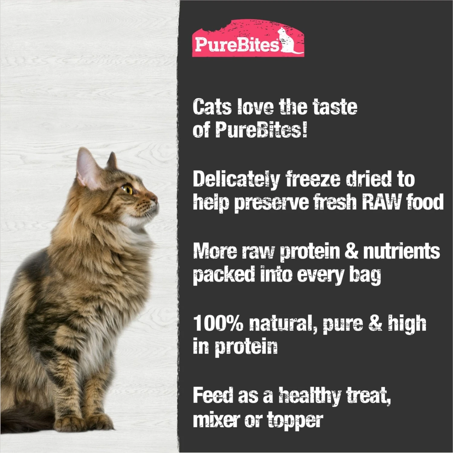 PureBites Shrimp Freeze-Dried Cat Treat 7 PureBites Shrimp Freeze-Dried Cat Treat - Image 5