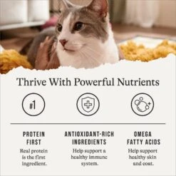 American Journey Senior Pate Chicken Recipe Canned Cat Food, 3-oz Can, Case Of 24 16 American Journey Senior Pate Chicken Recipe Canned Cat Food, 3-oz Can, Case Of 24 -Blue Buffalo Shop 330851 PT5. AC SS1800 V1691614423