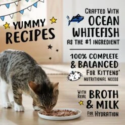 Tiny Tiger, Kitten Classic, Ocean Whitefish Pate Recipe, Canned Cat Food 11 Tiny Tiger, Kitten Classic, Ocean Whitefish Pate Recipe, Canned Cat Food -Blue Buffalo Shop 330994 PT3. AC SS1800 V1687283980