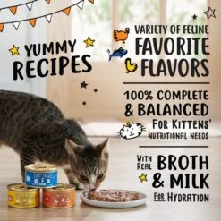Tiny Tiger, Kitten Classic, Variety Pack, Whitefish & Poultry Pate Recipe, Canned Cat Food 10 Tiny Tiger, Kitten Classic, Variety Pack, Whitefish & Poultry Pate Recipe, Canned Cat Food -Blue Buffalo Shop 330998 PT3. AC SS1800 V1671733249