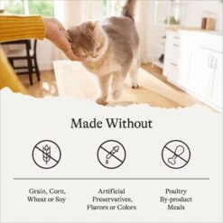 American Journey Pate Senior Wet Cat Food Variety Pack, 3-oz Can, Case Of 24 -Blue Buffalo Shop 331112 PT5. AC SS1800 V1637695014