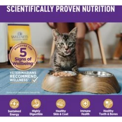Wellness Complete Health Kitten Whitefish & Tuna Formula Grain-Free Canned Cat Food, Case Of 24 15 Wellness Complete Health Kitten Whitefish & Tuna Formula Grain-Free Canned Cat Food, Case Of 24 -Blue Buffalo Shop 333297 PT4. AC SS1800 V1690904561