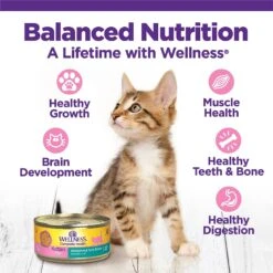 Wellness Complete Health Kitten Variety Pack Grain-Free Canned Cat Food, 3-oz, Case Of 12 13 Wellness Complete Health Kitten Variety Pack Grain-Free Canned Cat Food, 3-oz, Case Of 12 -Blue Buffalo Shop 333302 PT2. AC SS1800 V1636755409