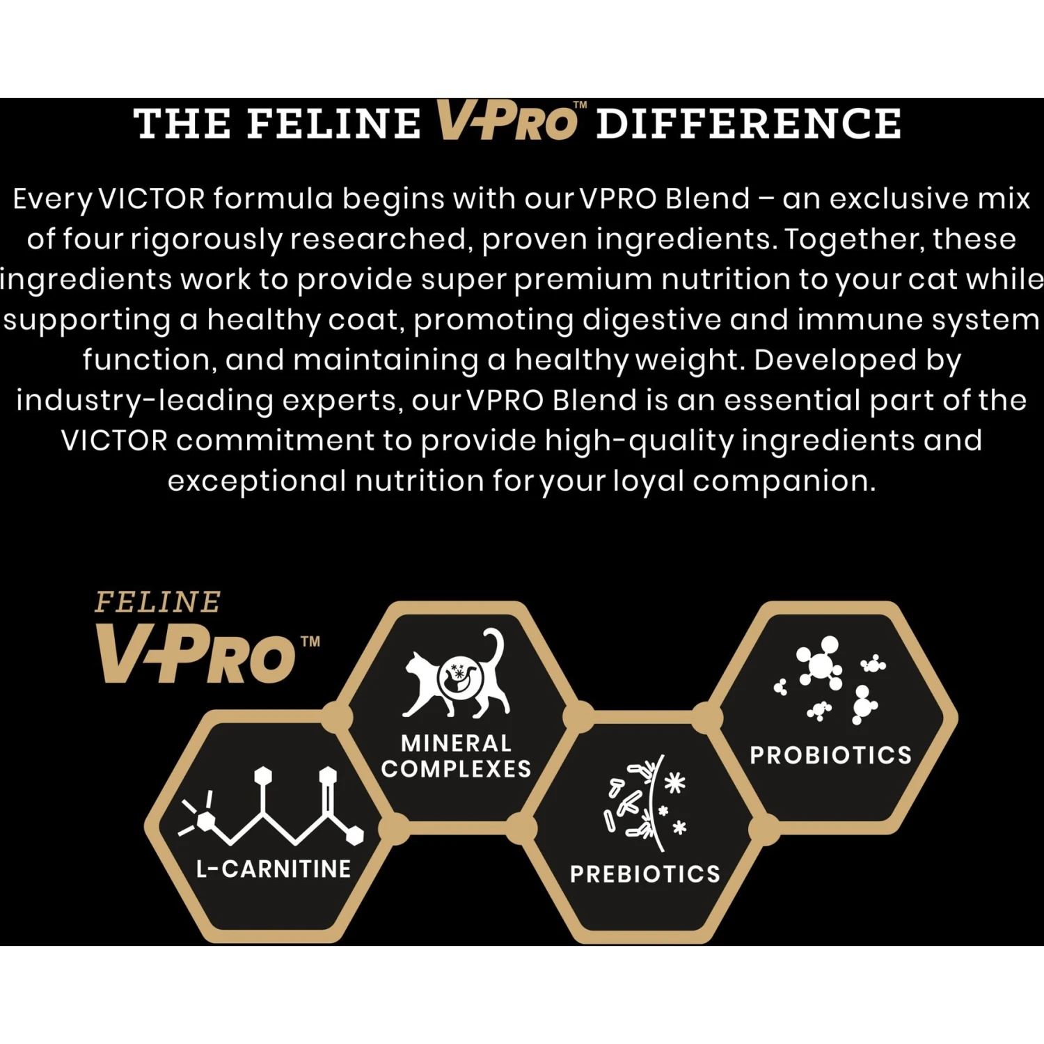 VICTOR Fit Feline Indoor Grain-Free Chicken Meal & Duck Meal Recipe Dry Cat Food 5 VICTOR Fit Feline Indoor Grain-Free Chicken Meal & Duck Meal Recipe Dry Cat Food - Image 3