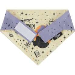 Disney Hocus Pocus Reversible Dog & Cat Bandana -Blue Buffalo Shop 334706 PT6. AC SS1800 V1657656875