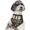 Frisco Bad & Boo-Jee Dog & Cat Costume Bandana -Blue Buffalo Shop 334807 MAIN. AC SS1800 V1658368617