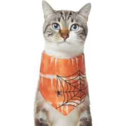 Frisco Orange Spiderweb Dog & Cat Costume Bandana 12 Frisco Orange Spiderweb Dog & Cat Costume Bandana -Blue Buffalo Shop 335046 PT2. AC SS1800 V1658716498