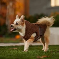 STAR WARS CHEWBACCA Mediumweight Sherpa Dog & Cat Vest 15 STAR WARS CHEWBACCA Mediumweight Sherpa Dog & Cat Vest -Blue Buffalo Shop 335212 PT8. AC SS1800 V1657656945