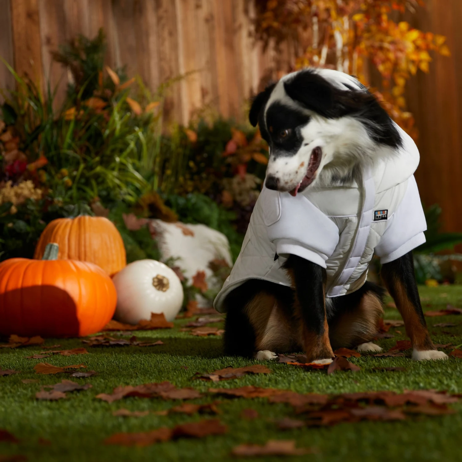 STAR WARS PRINCESS LEIA HOTH Dog & Cat Puffer Jacket 8 STAR WARS PRINCESS LEIA HOTH Dog & Cat Puffer Jacket - Image 6